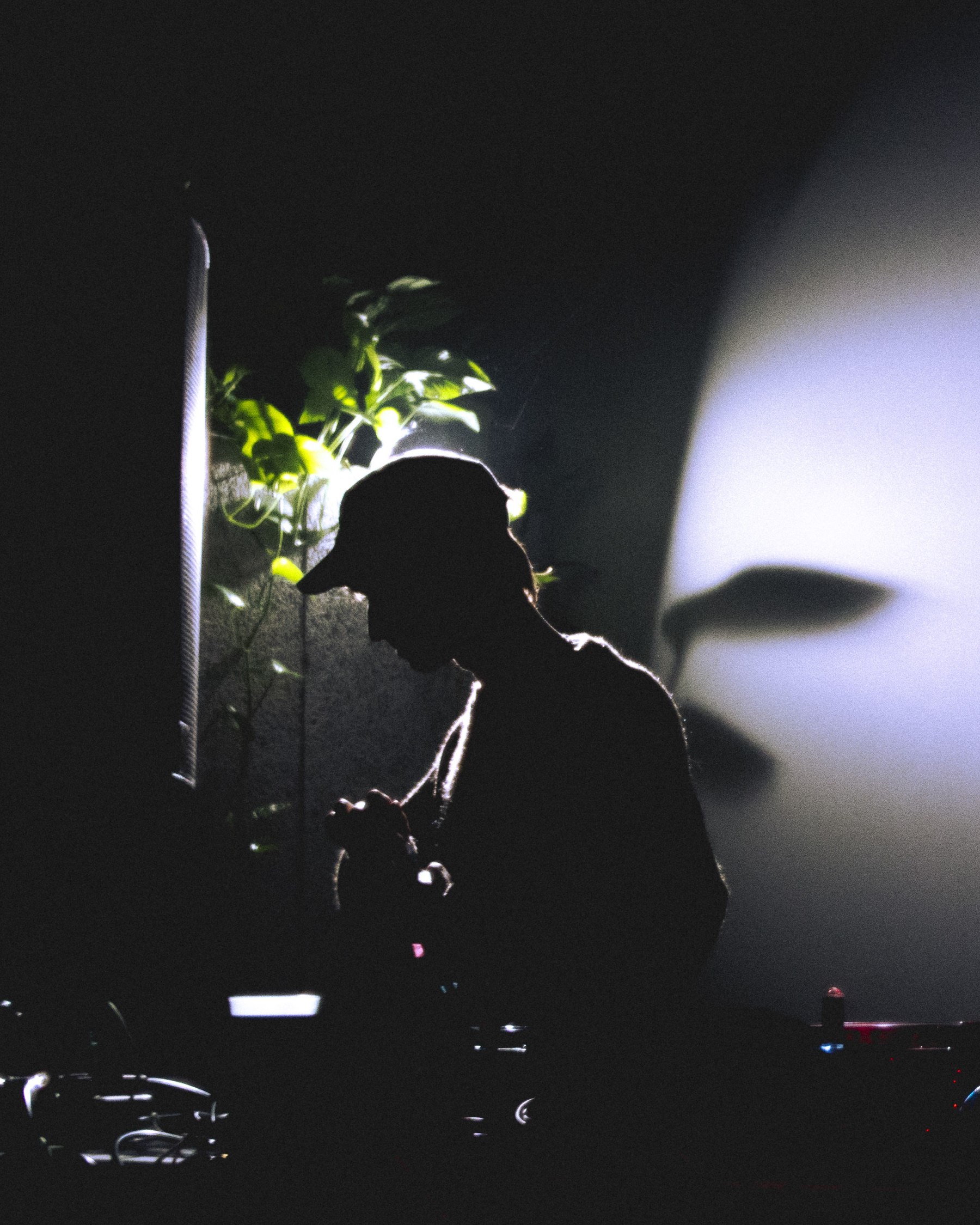 Vava performing, silhouetted against warm light